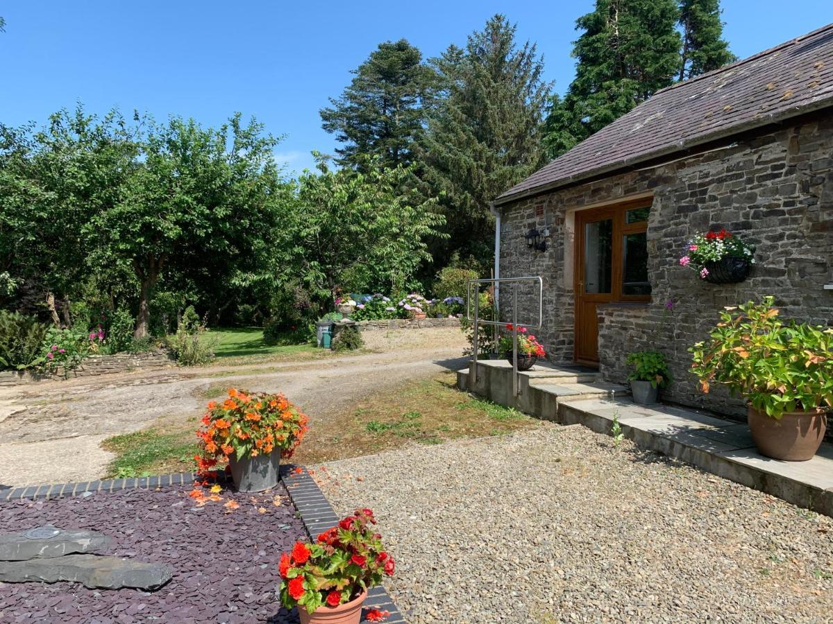 Parc Farm B&B Llanarth  Dış mekan fotoğraf